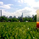 10 gezonde New York inspired smoothies